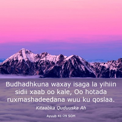 Picture 03 - Ayuub 41:29 SOM - Budhadhkuna waxay isaga la yihiin sidii xaab oo - Bible Verse Picture