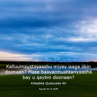 Picture 03 - Ayuub 41:6 SOM - Kalluumaystayaashu miyey isaga iibin doonaan? - Bible Verse Picture