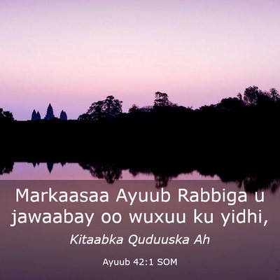 Picture 03 - Ayuub 42:1 SOM - Markaasaa Ayuub Rabbiga u jawaabay oo wuxuu ku - Bible Verse Picture