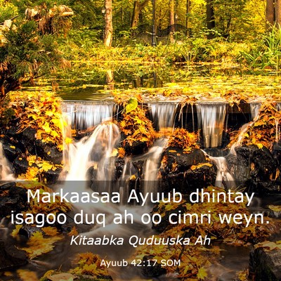 Picture 03 - Ayuub 42:17 SOM - Markaasaa Ayuub dhintay isagoo duq ah oo cimri - Bible Verse Picture