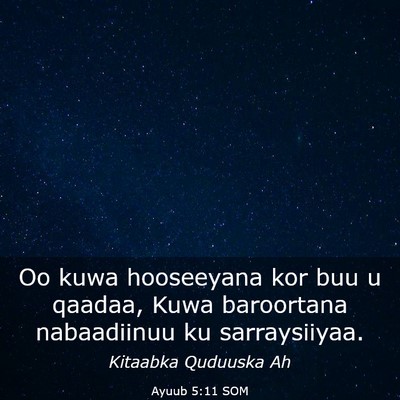 Picture 03 - Ayuub 5:11 SOM - Oo kuwa hooseeyana kor buu u qaadaa, Kuwa - Bible Verse Picture