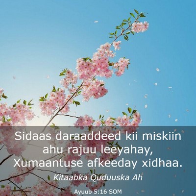 Picture 03 - Ayuub 5:16 SOM - Sidaas daraaddeed kii miskiin ahu rajuu leeyahay, - Bible Verse Picture