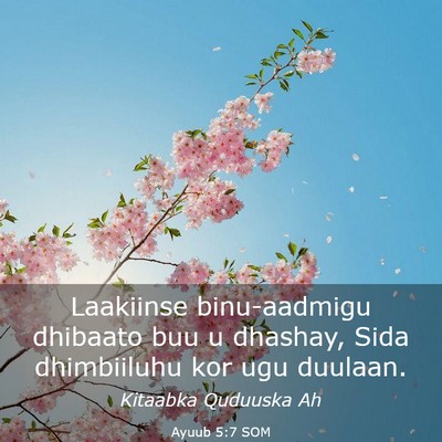 Picture 03 - Ayuub 5:7 SOM - Laakiinse binu-aadmigu dhibaato buu u dhashay, - Bible Verse Picture