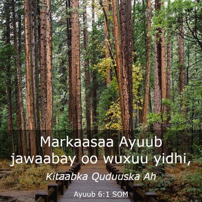 Picture 03 - Ayuub 6:1 SOM - Markaasaa Ayuub jawaabay oo wuxuu - Bible Verse Picture