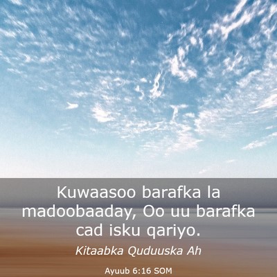 Picture 03 - Ayuub 6:16 SOM - Kuwaasoo barafka la madoobaaday, Oo uu barafka - Bible Verse Picture
