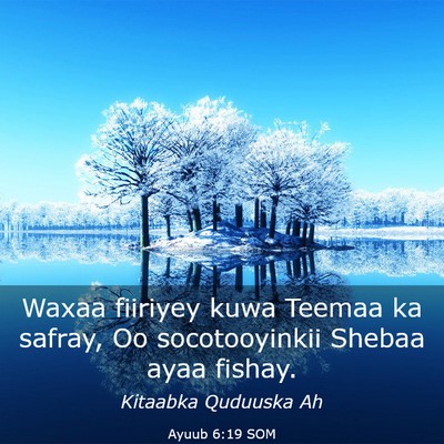 Picture 03 - Ayuub 6:19 SOM - Waxaa fiiriyey kuwa Teemaa ka safray, Oo - Bible Verse Picture