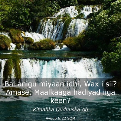 Picture 03 - Ayuub 6:22 SOM - Bal anigu miyaan idhi, Wax i sii? Amase, - Bible Verse Picture
