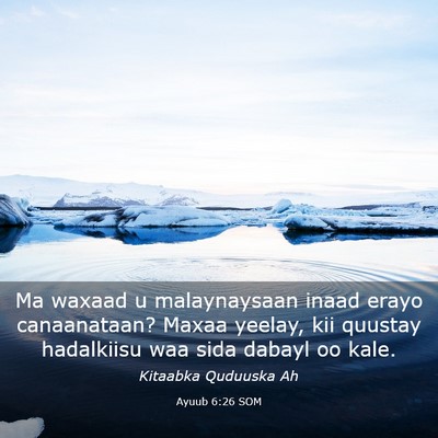 Picture 03 - Ayuub 6:26 SOM - Ma waxaad u malaynaysaan inaad erayo canaanataan? - Bible Verse Picture