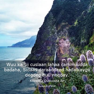 Picture 03 - Ayuub 6:3 SOM - Wuu ka sii cuslaan lahaa cammuudda badaha, Sidaas - Bible Verse Picture