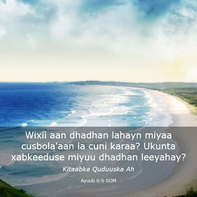 Picture 03 - Ayuub 6:6 SOM - Wixii aan dhadhan lahayn miyaa cusbola'aan la - Bible Verse Picture