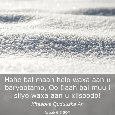 Picture 03 - Ayuub 6:8 SOM - Hahe bal maan helo waxa aan u baryootamo, Oo - Bible Verse Picture