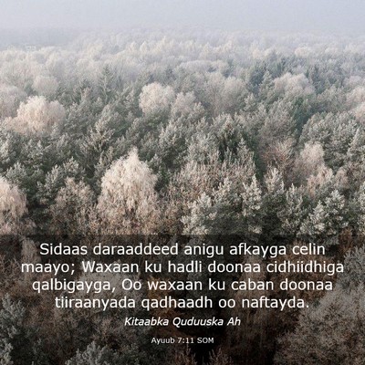 Picture 03 - Ayuub 7:11 SOM - Sidaas daraaddeed anigu afkayga celin maayo; - Bible Verse Picture