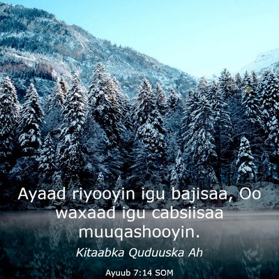 Picture 03 - Ayuub 7:14 SOM - Ayaad riyooyin igu bajisaa, Oo waxaad igu - Bible Verse Picture