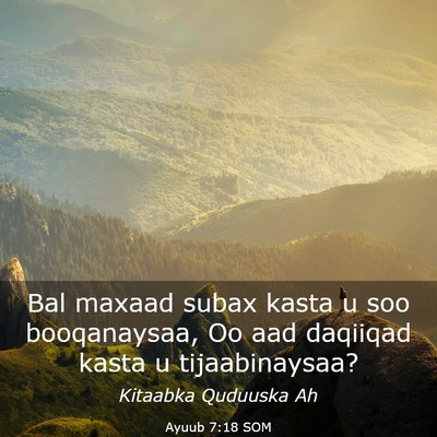 Picture 03 - Ayuub 7:18 SOM - Bal maxaad subax kasta u soo booqanaysaa, Oo aad - Bible Verse Picture