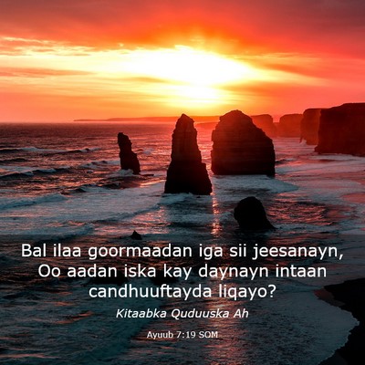 Picture 03 - Ayuub 7:19 SOM - Bal ilaa goormaadan iga sii jeesanayn, Oo aadan - Bible Verse Picture