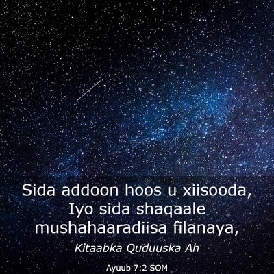 Picture 03 - Ayuub 7:2 SOM - Sida addoon hoos u xiisooda, Iyo sida shaqaale - Bible Verse Picture