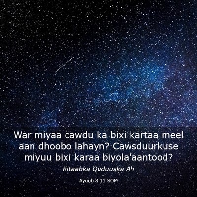 Picture 03 - Ayuub 8:11 SOM - War miyaa cawdu ka bixi kartaa meel aan dhoobo - Bible Verse Picture