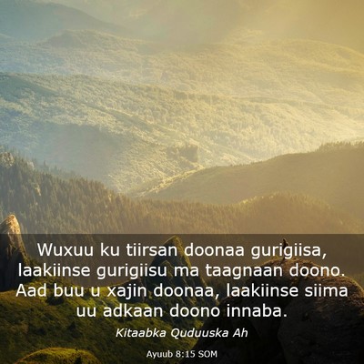 Picture 03 - Ayuub 8:15 SOM - Wuxuu ku tiirsan doonaa gurigiisa, laakiinse - Bible Verse Picture