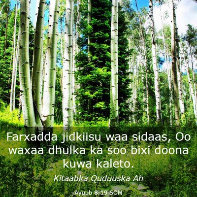 Picture 03 - Ayuub 8:19 SOM - Farxadda jidkiisu waa sidaas, Oo waxaa dhulka ka - Bible Verse Picture