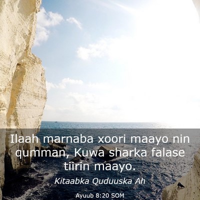 Picture 03 - Ayuub 8:20 SOM - Ilaah marnaba xoori maayo nin qumman, Kuwa sharka - Bible Verse Picture