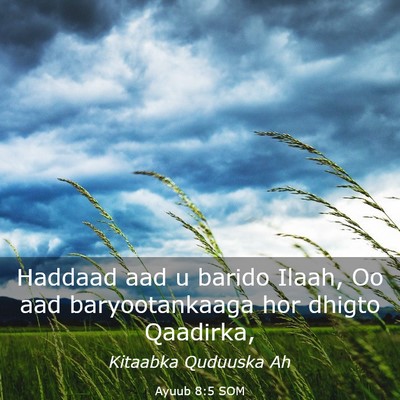 Picture 03 - Ayuub 8:5 SOM - Haddaad aad u barido Ilaah, Oo aad baryootankaaga - Bible Verse Picture