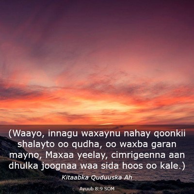Picture 03 - Ayuub 8:9 SOM - (Waayo, innagu waxaynu nahay qoonkii shalayto oo - Bible Verse Picture
