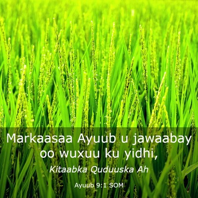 Picture 03 - Ayuub 9:1 SOM - Markaasaa Ayuub u jawaabay oo wuxuu ku - Bible Verse Picture