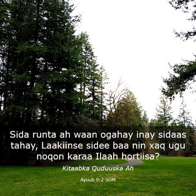 Picture 03 - Ayuub 9:2 SOM - Sida runta ah waan ogahay inay sidaas tahay, - Bible Verse Picture
