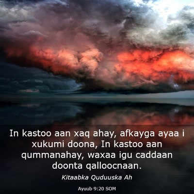 Picture 03 - Ayuub 9:20 SOM - In kastoo aan xaq ahay, afkayga ayaa i xukumi - Bible Verse Picture