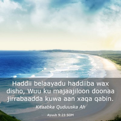 Picture 03 - Ayuub 9:23 SOM - Haddii belaayadu haddiiba wax disho, Wuu ku - Bible Verse Picture