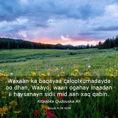 Picture 03 - Ayuub 9:28 SOM - Waxaan ka baqayaa caloolxumadayda oo dhan, Waayo, - Bible Verse Picture