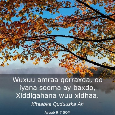 Picture 03 - Ayuub 9:7 SOM - Wuxuu amraa qorraxda, oo iyana sooma ay baxdo, - Bible Verse Picture
