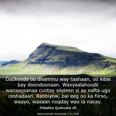 Picture 03 - Baroorashadii Yeremyaah 1:11 SOM - Dadkeeda oo dhammu way taahaan, oo kibis bay - Bible Verse Picture