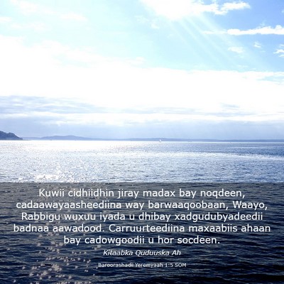 Picture 03 - Baroorashadii Yeremyaah 1:5 SOM - Kuwii cidhiidhin jiray madax bay noqdeen, - Bible Verse Picture