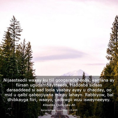 Picture 03 - Baroorashadii Yeremyaah 1:9 SOM - Nijaasteedii waxay ku tiil googaradaheeda, kamana - Bible Verse Picture