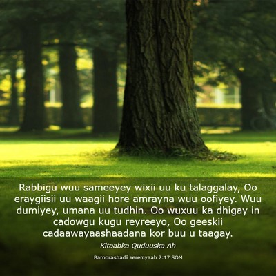 Picture 03 - Baroorashadii Yeremyaah 2:17 SOM - Rabbigu wuu sameeyey wixii uu ku talaggalay, Oo - Bible Verse Picture