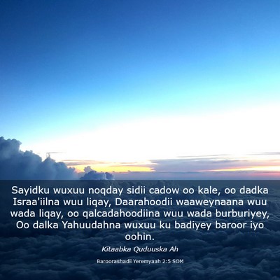 Picture 03 - Baroorashadii Yeremyaah 2:5 SOM - Sayidku wuxuu noqday sidii cadow oo kale, oo - Bible Verse Picture