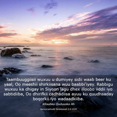 Picture 03 - Baroorashadii Yeremyaah 2:6 SOM - Taambuuggiisii wuxuu u dumiyey sidii waab beer ku - Bible Verse Picture