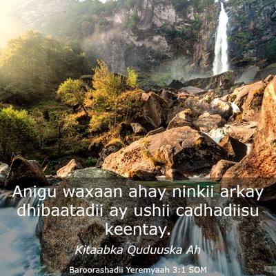 Picture 03 - Baroorashadii Yeremyaah 3:1 SOM - Anigu waxaan ahay ninkii arkay dhibaatadii ay - Bible Verse Picture