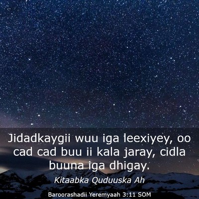 Picture 03 - Baroorashadii Yeremyaah 3:11 SOM - Jidadkaygii wuu iga leexiyey, oo cad cad buu ii - Bible Verse Picture