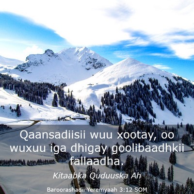 Picture 03 - Baroorashadii Yeremyaah 3:12 SOM - Qaansadiisii wuu xootay, oo wuxuu iga dhigay - Bible Verse Picture