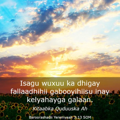 Picture 03 - Baroorashadii Yeremyaah 3:13 SOM - Isagu wuxuu ka dhigay fallaadhihii gabooyihiisu - Bible Verse Picture