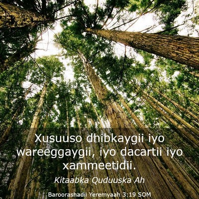 Picture 03 - Baroorashadii Yeremyaah 3:19 SOM - Xusuuso dhibkaygii iyo wareeggaygii, iyo dacartii - Bible Verse Picture