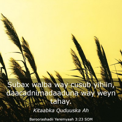 Picture 03 - Baroorashadii Yeremyaah 3:23 SOM - Subax walba way cusub yihiin, daacadnimadaaduna - Bible Verse Picture