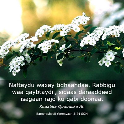 Picture 03 - Baroorashadii Yeremyaah 3:24 SOM - Naftaydu waxay tidhaahdaa, Rabbigu waa - Bible Verse Picture