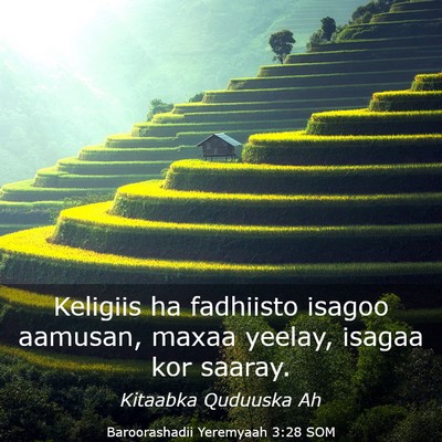 Picture 03 - Baroorashadii Yeremyaah 3:28 SOM - Keligiis ha fadhiisto isagoo aamusan, maxaa - Bible Verse Picture