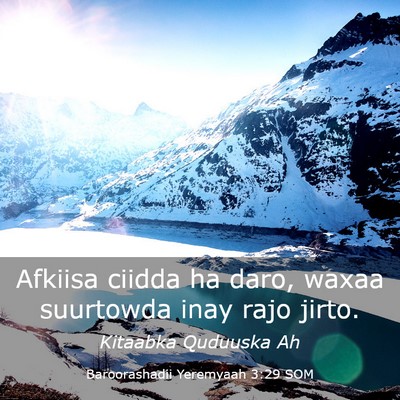 Picture 03 - Baroorashadii Yeremyaah 3:29 SOM - Afkiisa ciidda ha daro, waxaa suurtowda inay rajo - Bible Verse Picture
