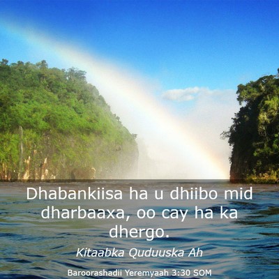 Picture 03 - Baroorashadii Yeremyaah 3:30 SOM - Dhabankiisa ha u dhiibo mid dharbaaxa, oo cay ha - Bible Verse Picture