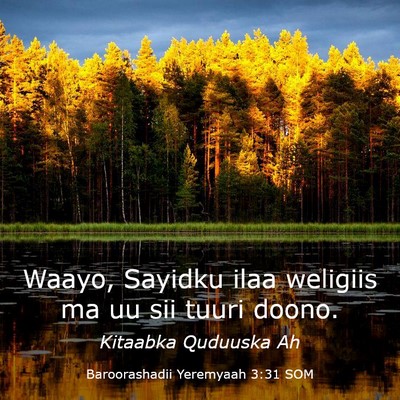 Picture 03 - Baroorashadii Yeremyaah 3:31 SOM - Waayo, Sayidku ilaa weligiis ma uu sii tuuri - Bible Verse Picture