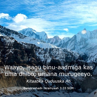 Picture 03 - Baroorashadii Yeremyaah 3:33 SOM - Waayo, isagu binu-aadmiga kas uma dhibo, umana - Bible Verse Picture